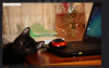 upload_2014-3-30_16-49-25.png