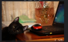 upload_2014-3-30_16-49-57.png