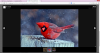 upload_2014-5-8_23-53-54.png