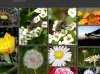photo_border_missing_at_buttom2.jpg