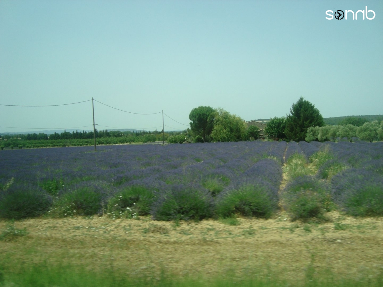 Picture was taken inside a moving car.