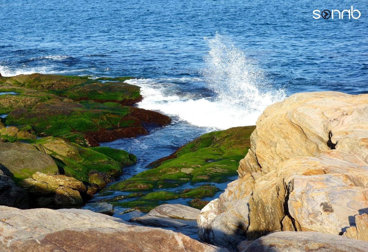 Surf in Rhode Island